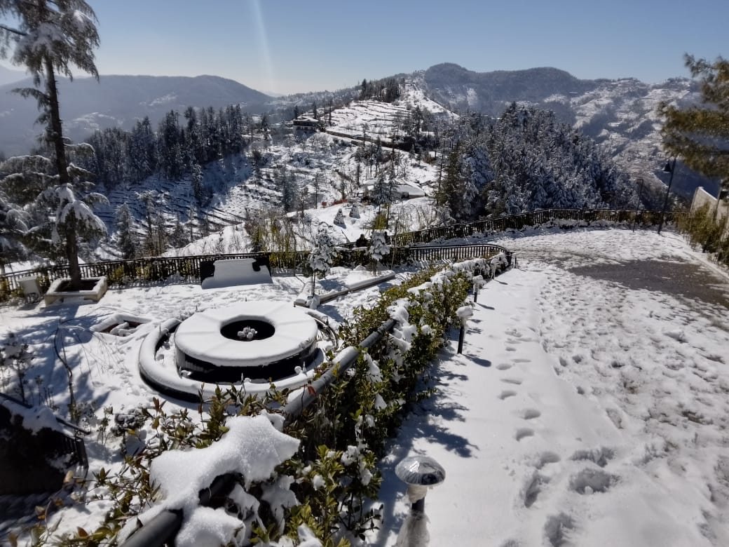 2644/dusitD2 Fagu Shimla 1.jpeg